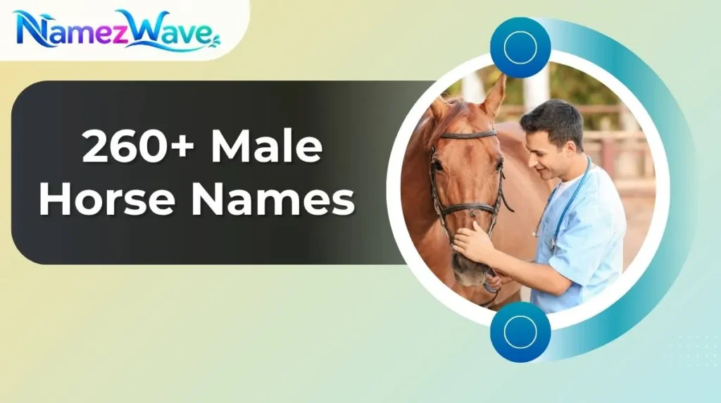 Male Horse Names