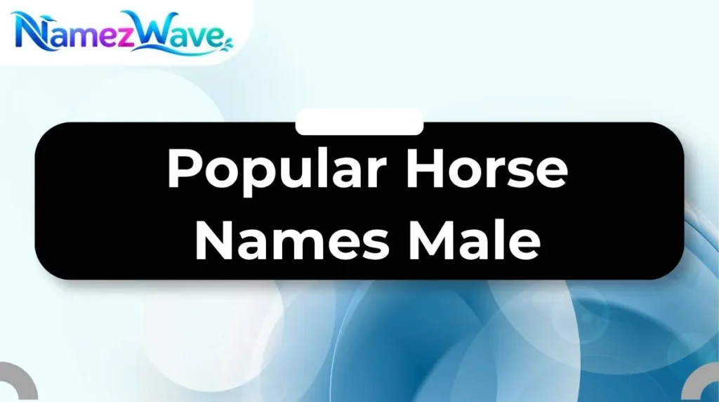 Popular  Horse Names Male