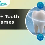 Tooth Names