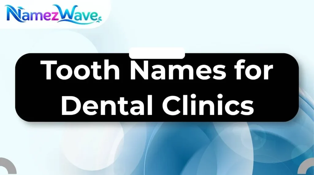 Tooth Names for Dental Clinics
