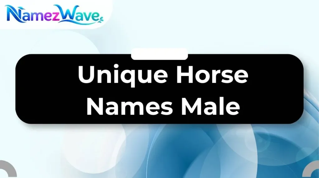 Unique Horse Names Male
